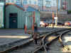 William attempts to change the points before the train arrives